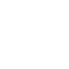 Icon_CameraInspection